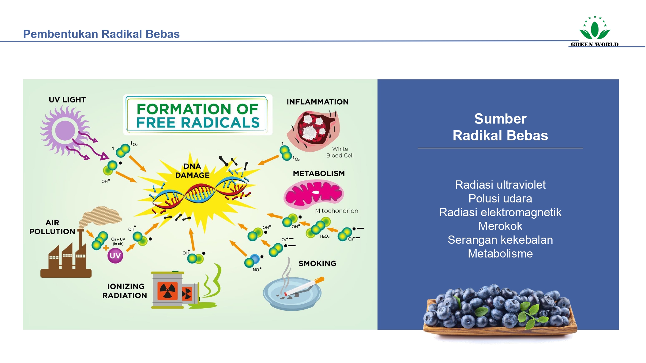 Education content image